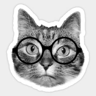 Cute nerdy cat wearing big round glasses Sticker